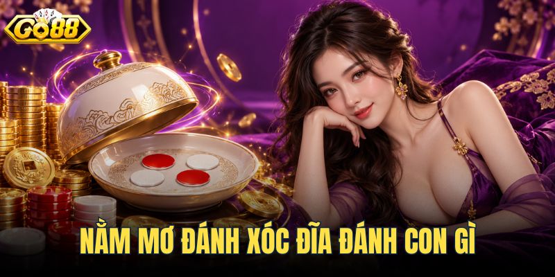 Nằm Mơ Đánh Xóc Đĩa Đánh Con Gì - Bảng Tra Số May Mắn